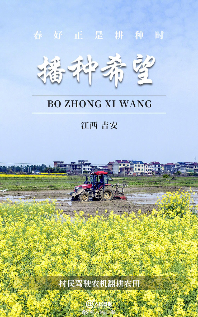 生機盎然！用課本封面打開春耕畫卷