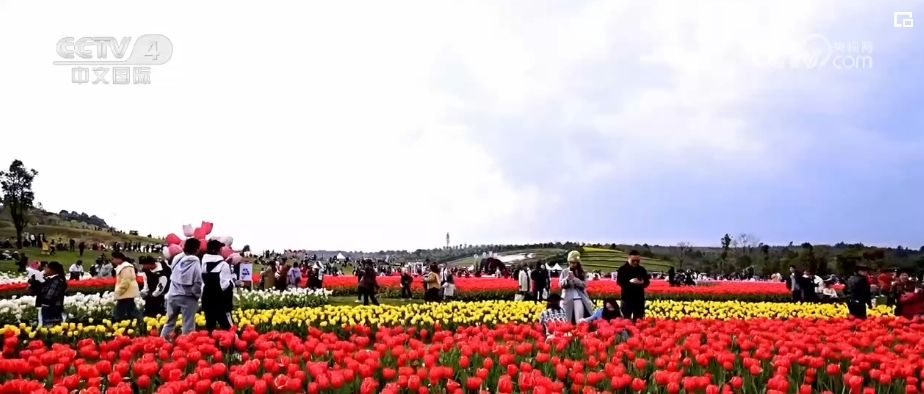 “春日經濟”熱力十足 “賞花+”融合煥新創造發展場景式消費新機遇