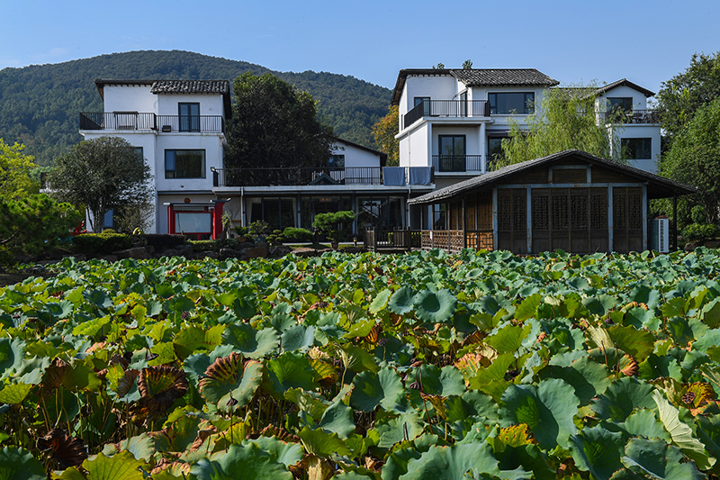 雨悅山房負責人原來在馬達加斯加打理酒店，之所以“從馬達加斯加到肥東”，源于對家鄉民宿前景看好。吳芳攝