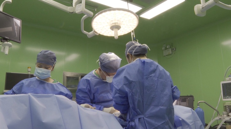 非洲各界點贊“和平方舟”：對中國為世界發展所做的一切說“謝謝”