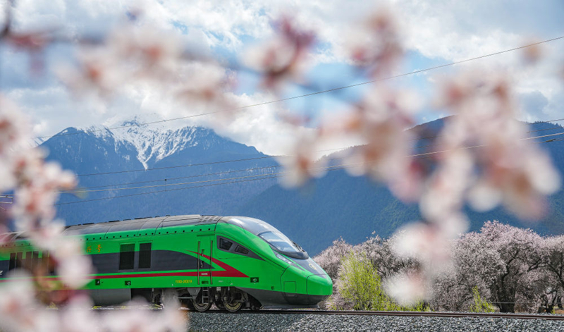 2025年4月2日，復興號列車穿行在拉林鐵路林芝段。